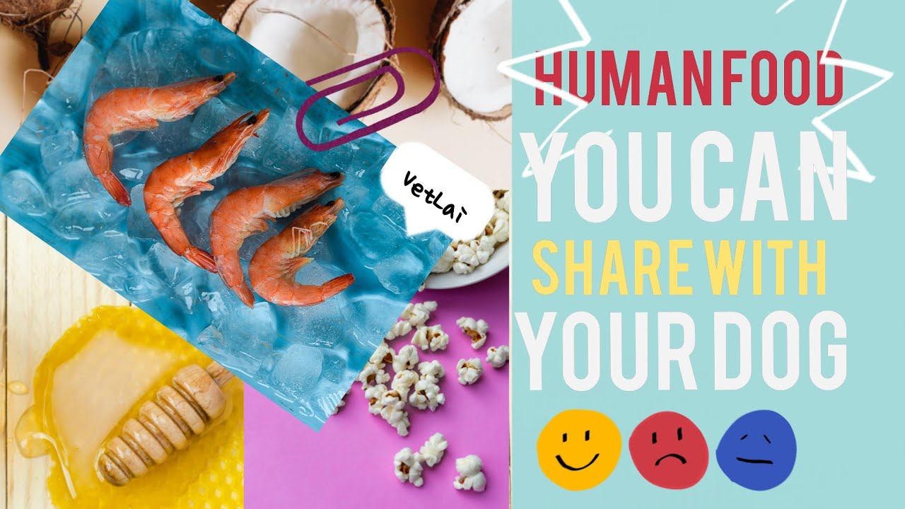 HUMAN FOOD YOU CAN SHARE WITH YOUR DOG| Human food safe for dogs