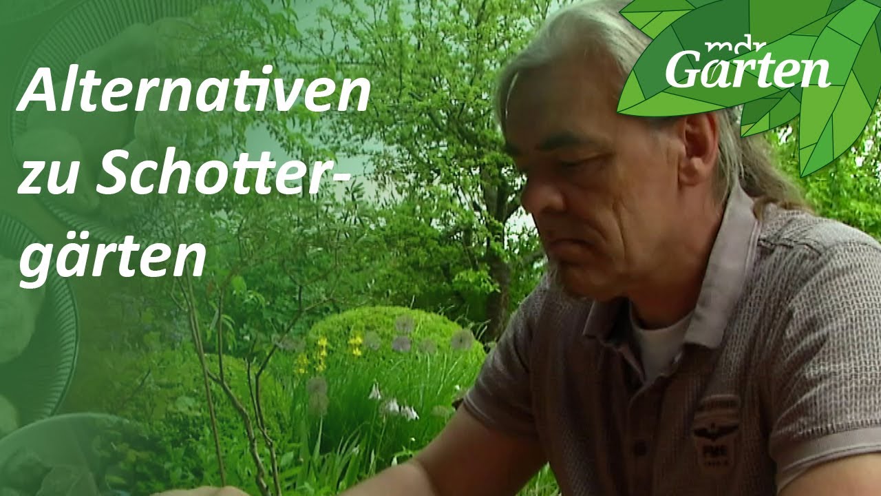 Der Kies muss weg! | MDR