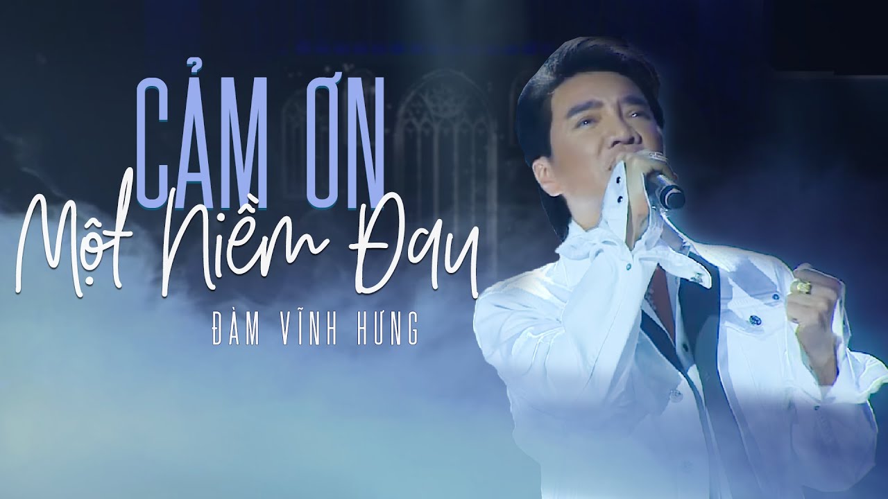 Cảm ơn một niềm đau - Đàm Vĩnh Hưng
