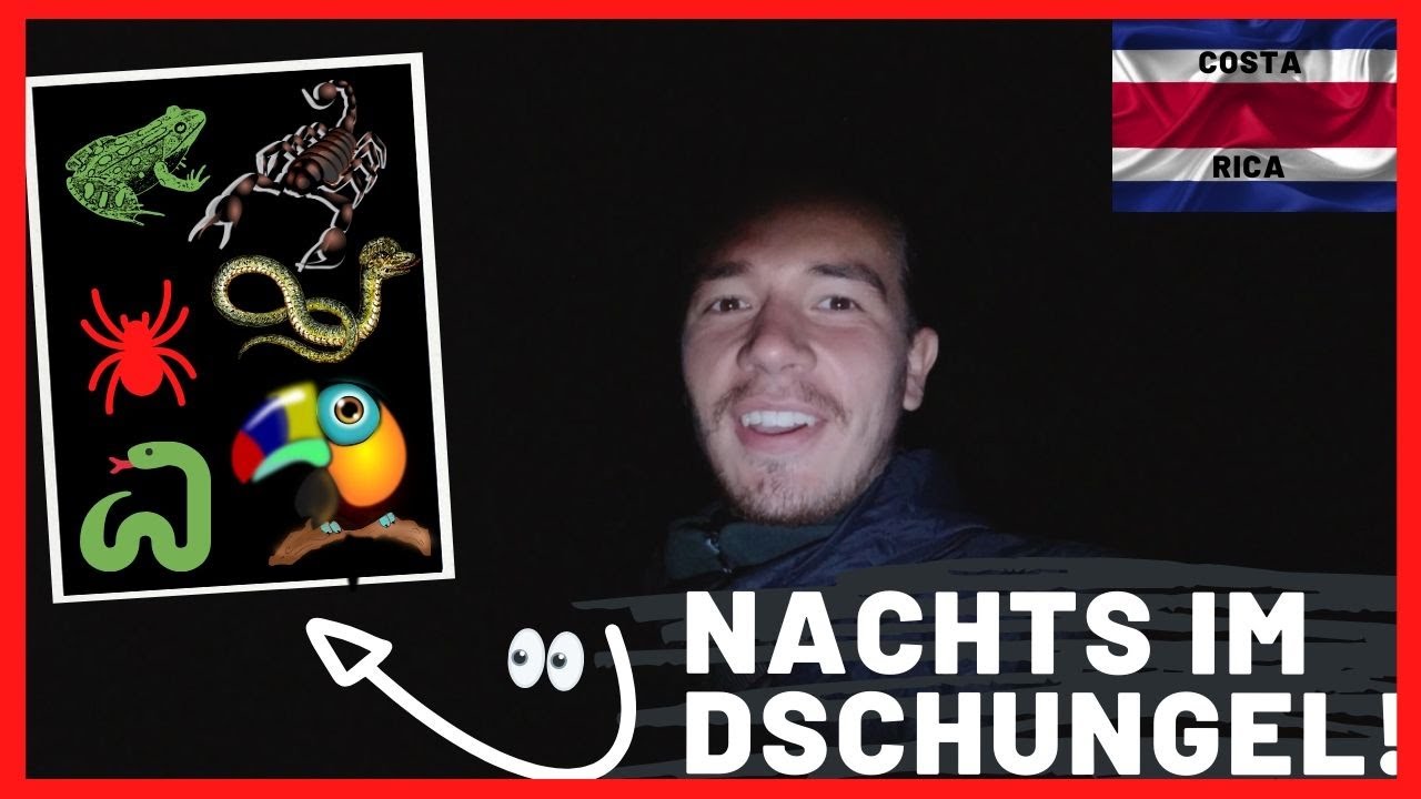 COSTA RICA 2020 - WIR SIND NACHTS IM DSCHUNGEL! (SCHLANGEN,SPINNEN,SKORPION) 🇨🇷 l Weltreise Vlog #39