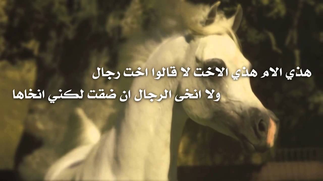 شيلة اخت رجال كلمات الشاعر مهدي ال حيدر أداء المنشد مانع ال قريع