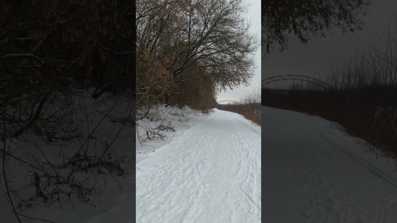 100 фактов о жизни и бизнесе  Факт 92 #журбаза