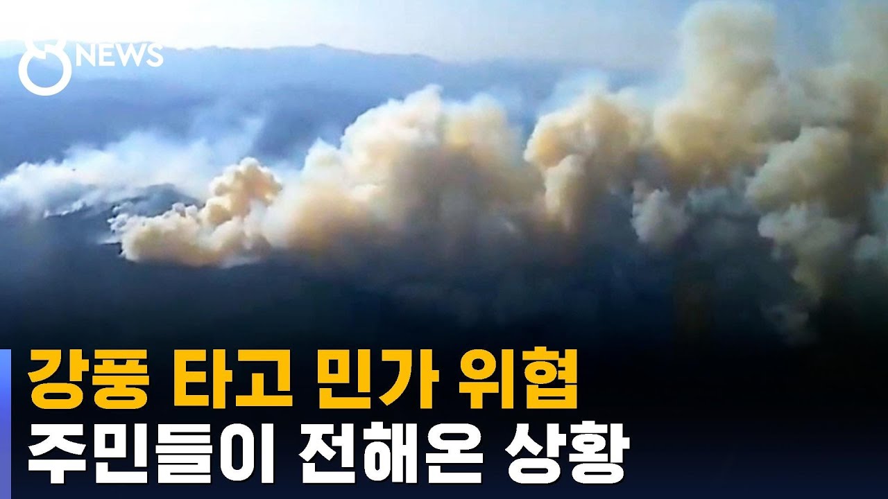 울진 산불, 강풍 타고 민가 위협&hellip;주민들이 전해온 상황 / SBS