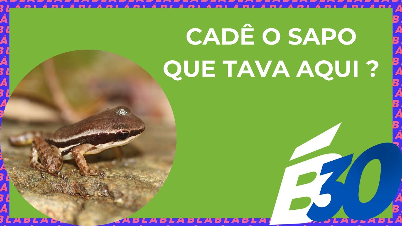 CADÊ O SAPO QUE TAVA AQUI? | Biologia em Meia Hora