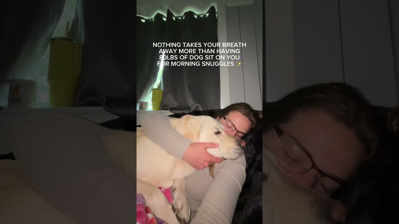Cutest Dog Wants Morning Cuddles