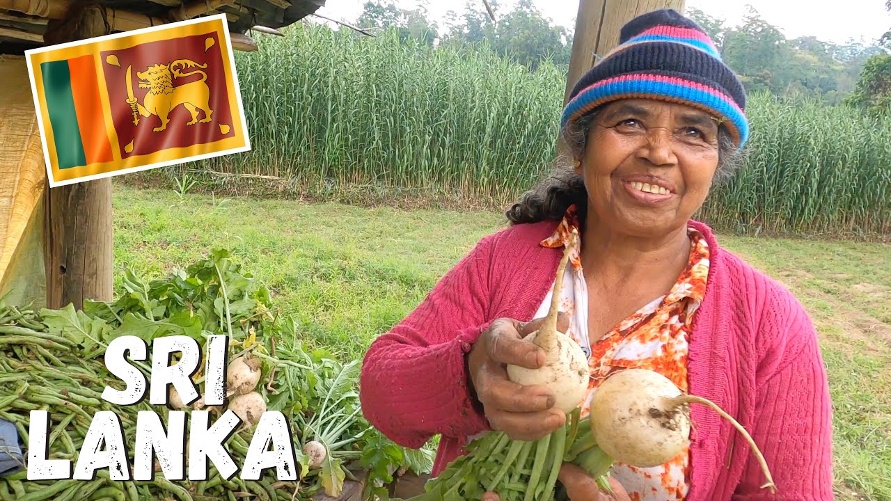 SRI LANKA | Uninvited Foreigner In The Village 🇱🇰
