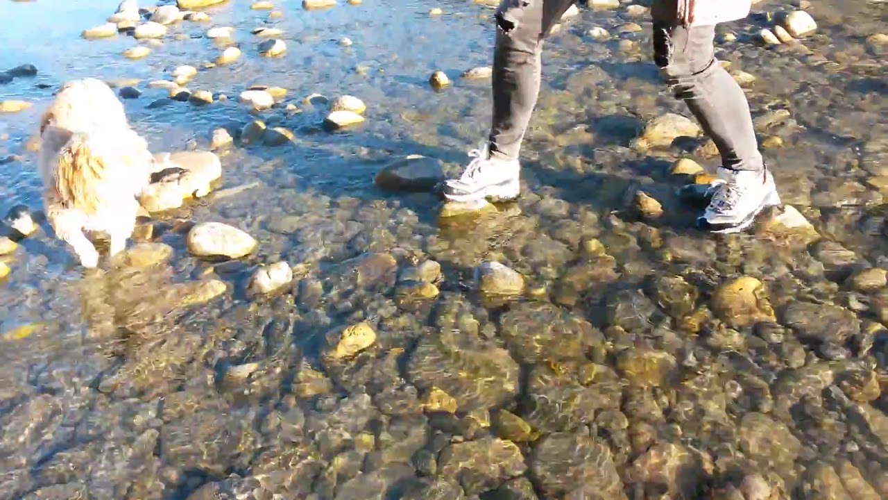Girl is getting wet shoes (sneakers) in the river