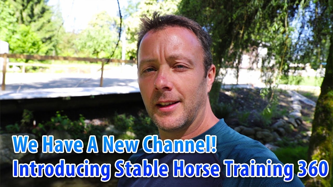 Introducing Our New Channel! Stable Horse Training 360