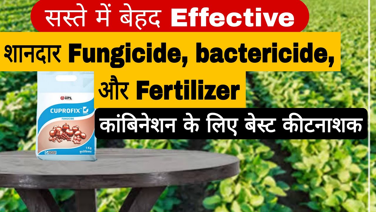 सस्ता है पर रिजल्ट शानदार है | upl cuprofix fungicide and bactericide | copper sulphate + mancozeb
