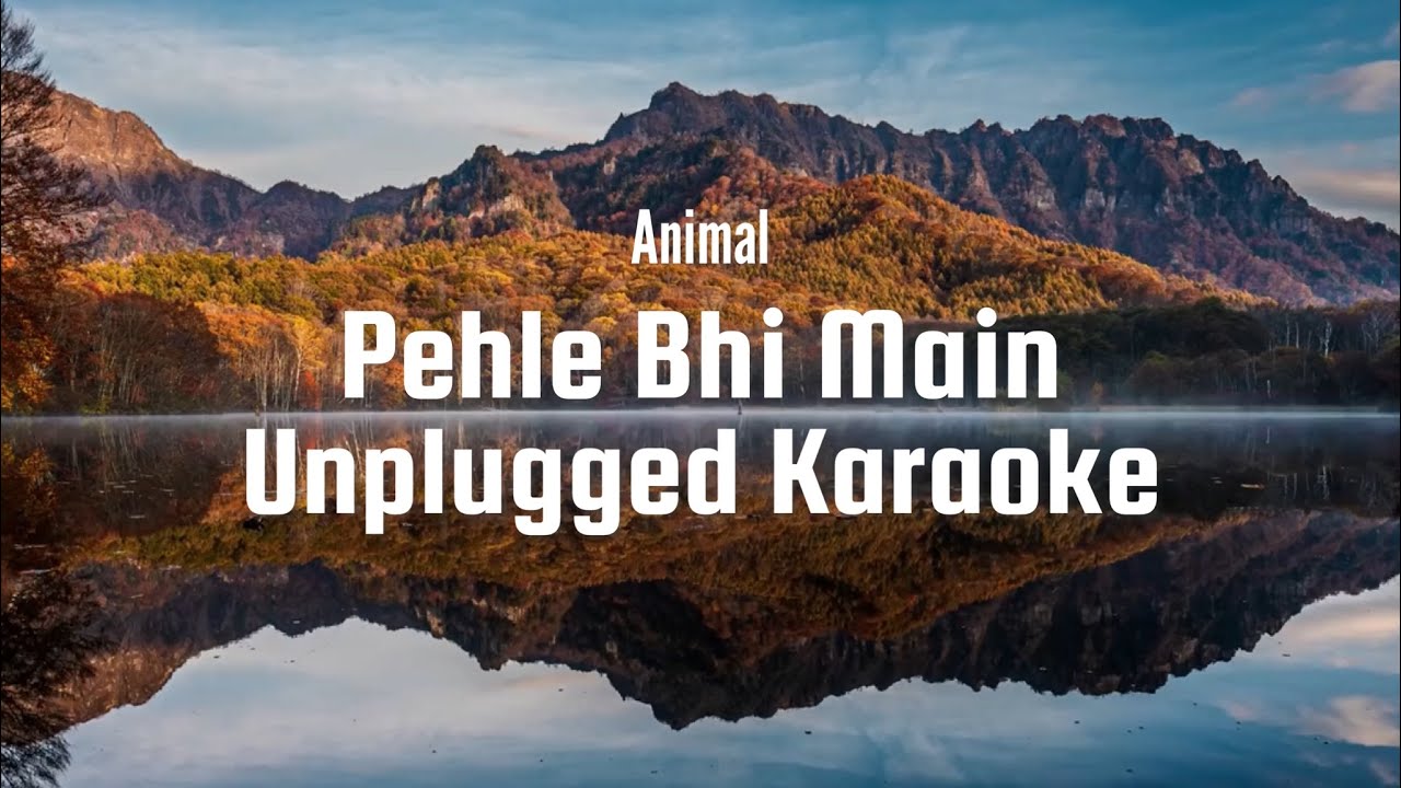 Pehle Bhi Main - Karaoke | Unplugged Karaoke | With Lyrics | Animal | Vishal Mishra | Trending Song