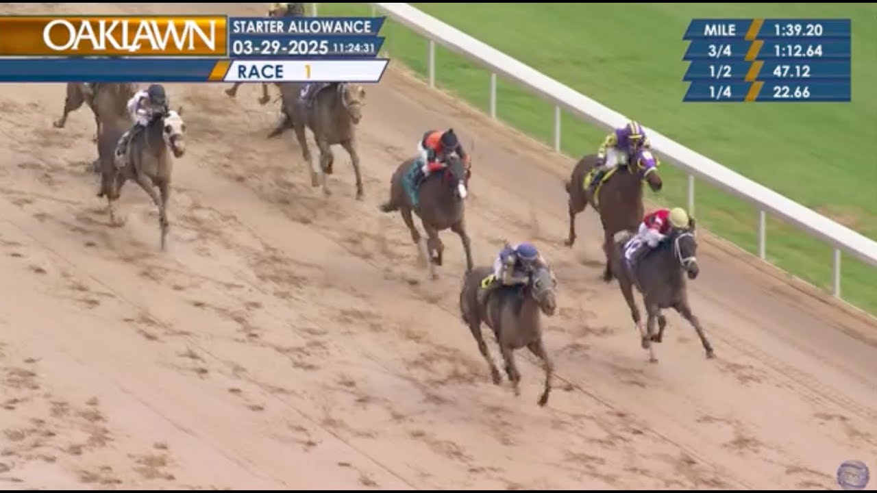 Cashmeup (#10) finishes 2nd on 3/29/2025 at Oaklawn Park