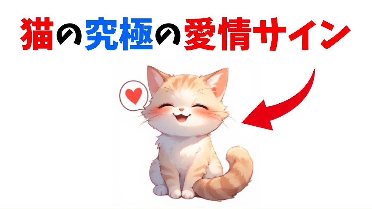 【家宝級】猫が一生の忠誠を誓った飼い主にだけ見せる究極の感謝サイン10選