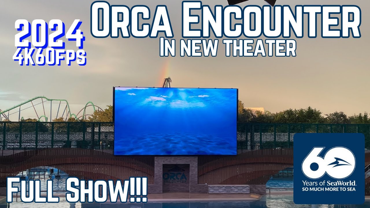 [4K60fps] Orca Encounter Show at SeaWorld Orlando, Florida (Full Performance) | 2024
