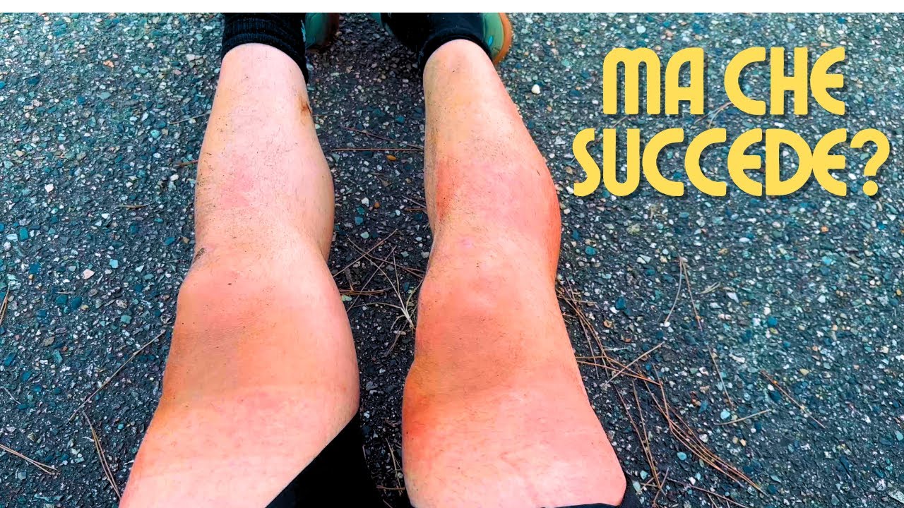 GAMBE DISTRUTTE - Giappone in bici Ep. 7
