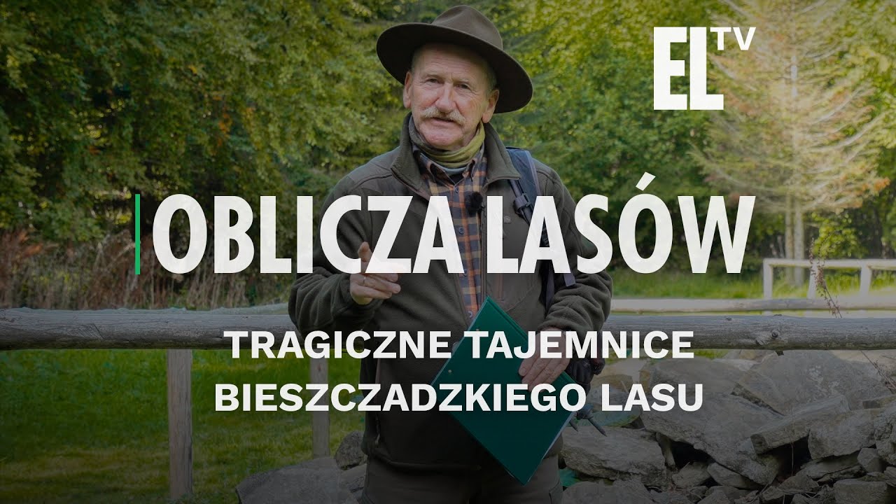 Tragiczne tajemnice bieszczadzkiego lasu | OBLICZA LASÓW #160