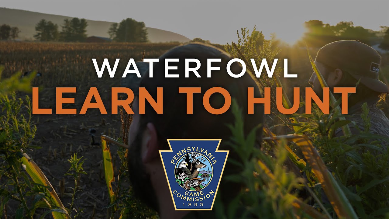 Learn to Hunt: Waterfowl
