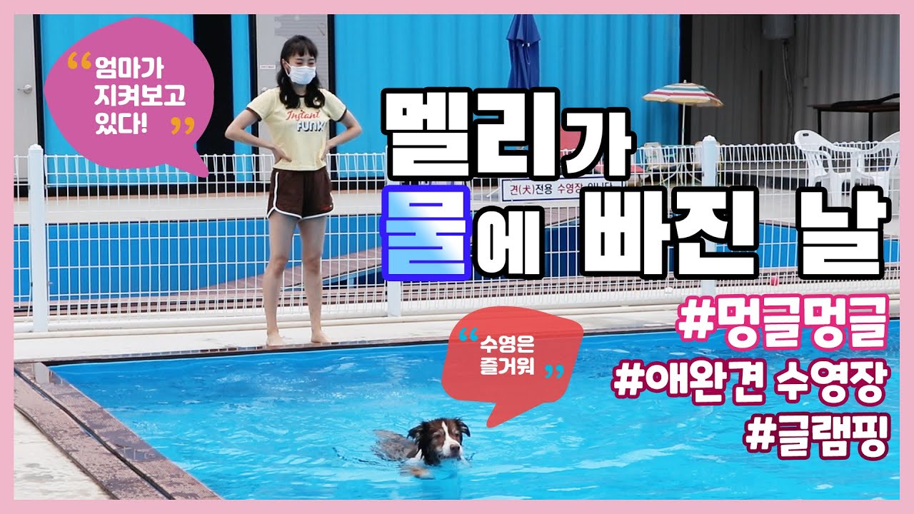 멜리가 물에 빠진 날 / 엄마가 지켜보고 있다 / 루미큐브 대전