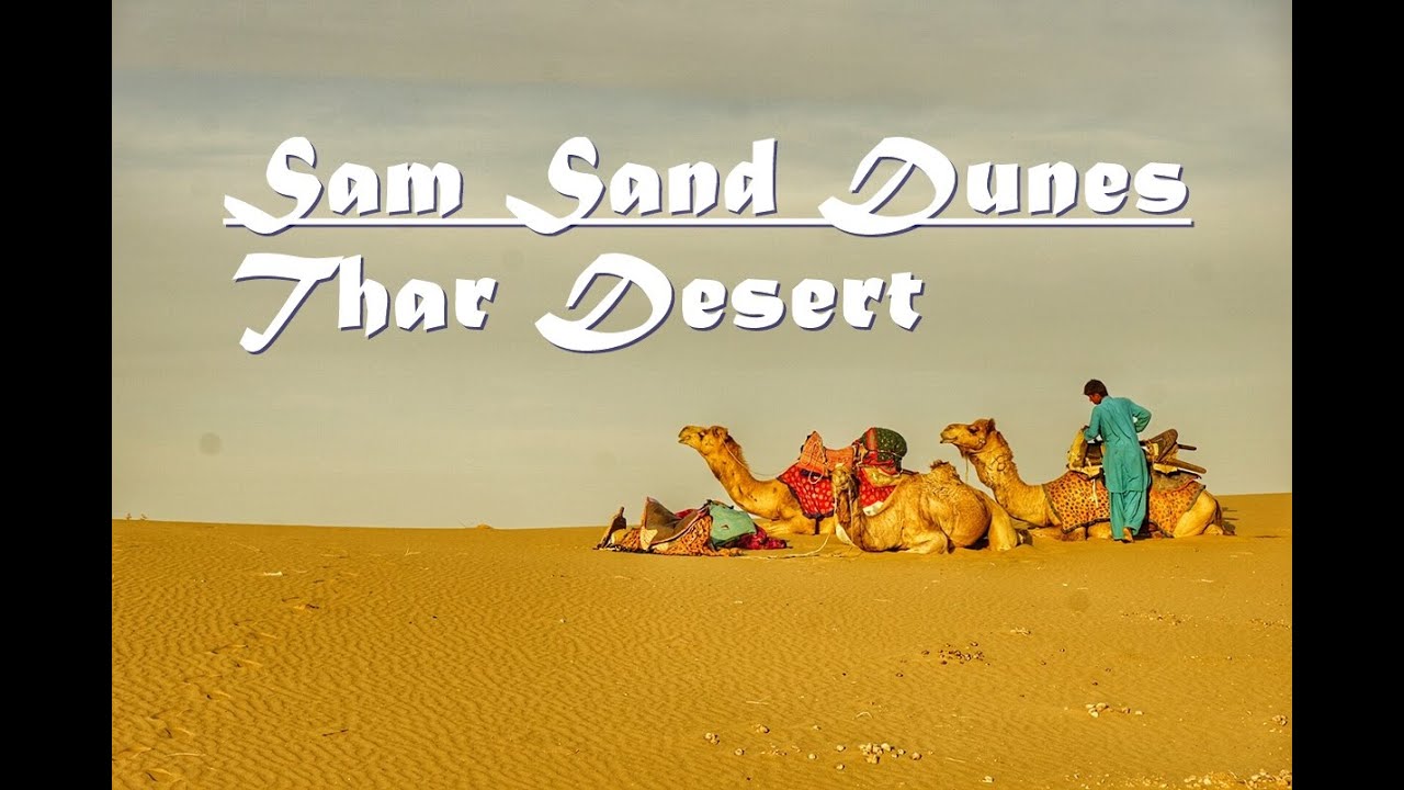 Camel Ride at Sam Sand Dunes | Thar Desert | Jaisalmer | Rajastan | India