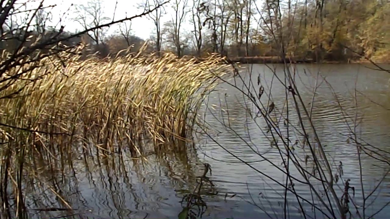 Garb&oacute;w - Zesp&oacute;ł pałacowo-parkowy z XIX w., Stawy