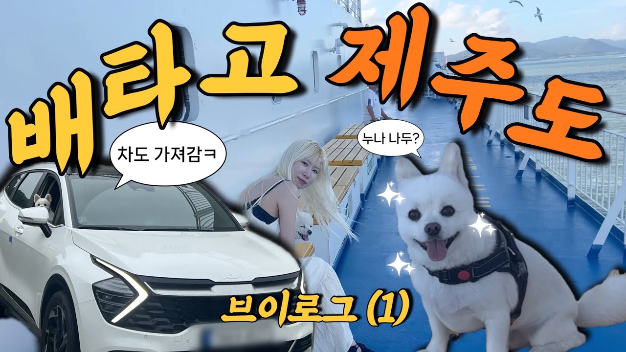 배타고 제주도로 !! 🍊 자동차랑 울집 강아지도 데려갔어요ㅋ | 퀸제누비아 여객선 펫스위트룸 솔직 후기 🛳 | 제주도 애견동반 브이로그 1편 ★
