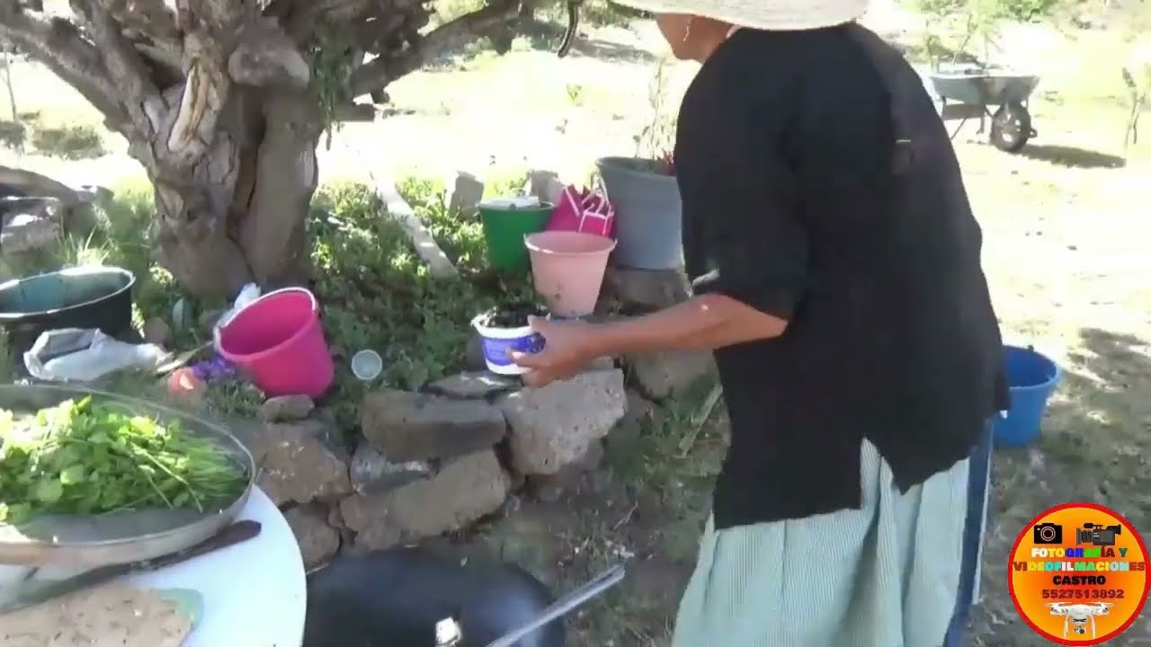 XIHMAI Y SUS ALREDEDORES 