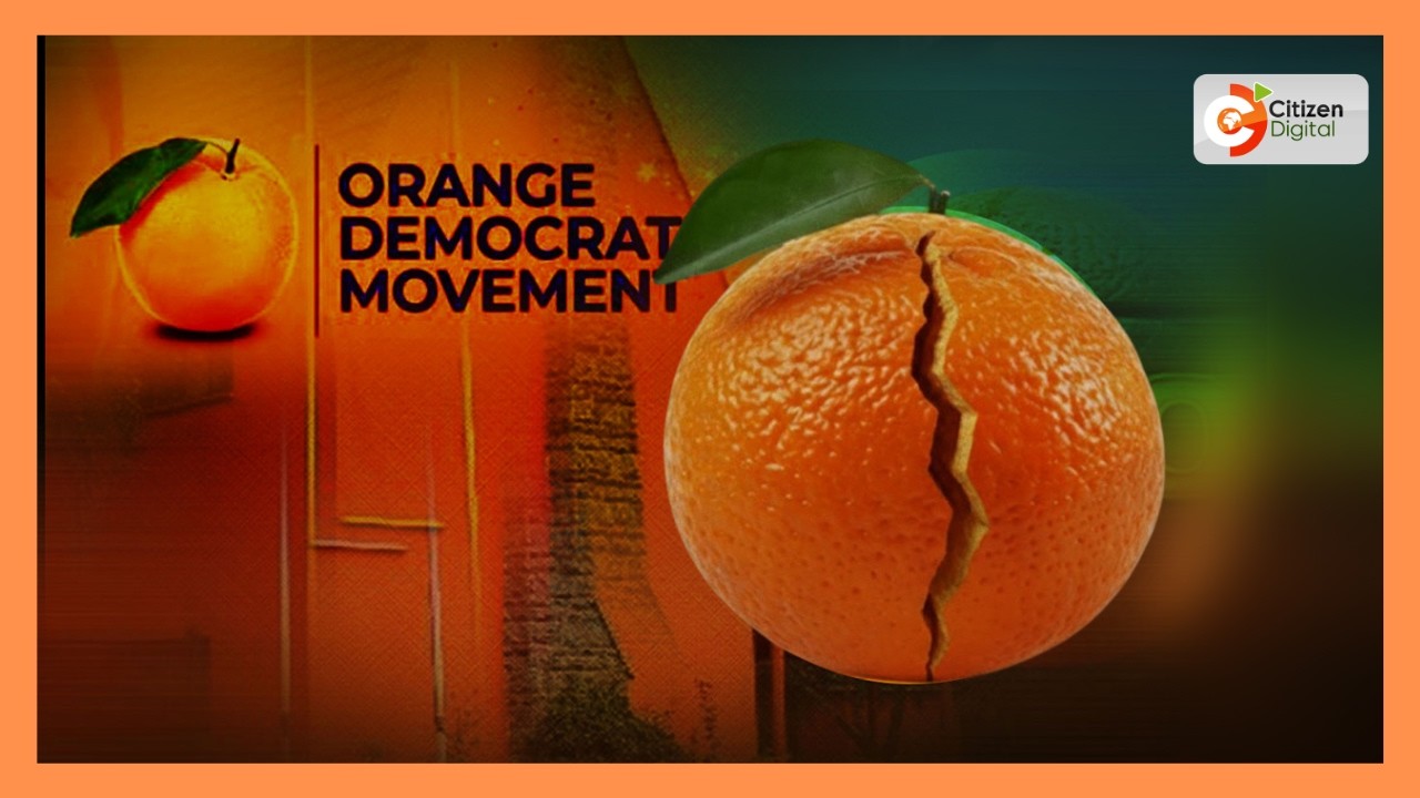 встреча ODM