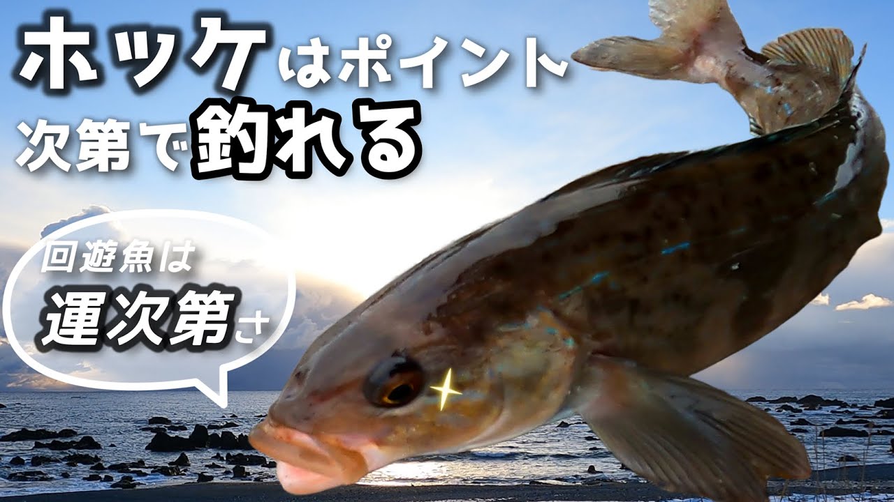 ホッケ大漁‼他魚種も大漁で久々の納得の釣りでワッショイモード突入！【北海道の投げ釣り】