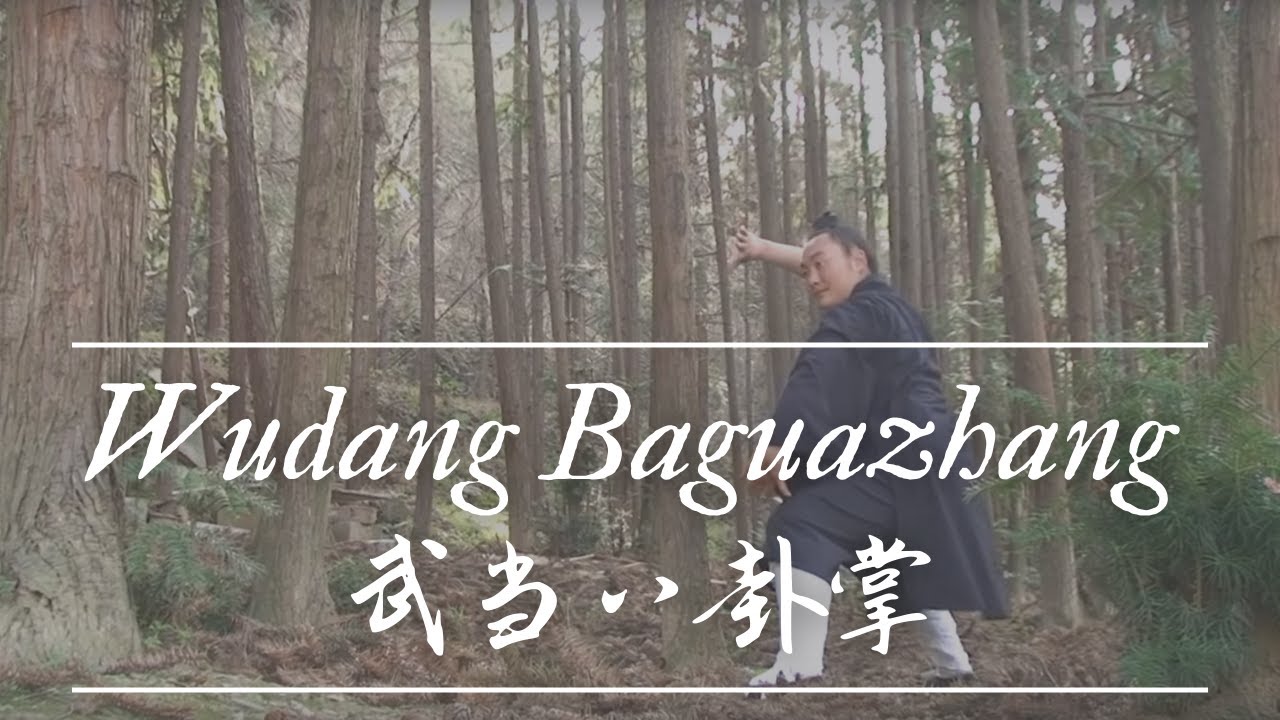 Wudang Bagua Zhang 武当八卦掌 Master Ming Yue 明月師父