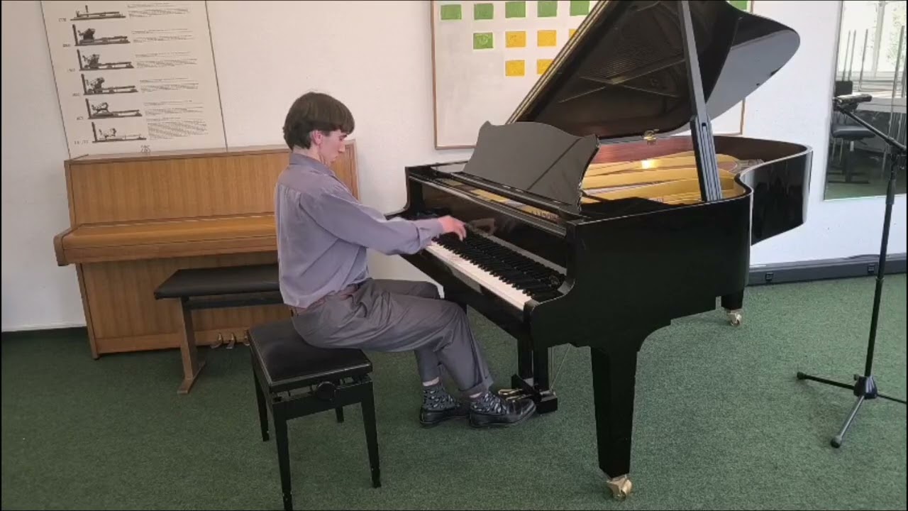 Leonard Olbrich: Joseph Haydn Sonate in D Dur, Hob.XVI 37