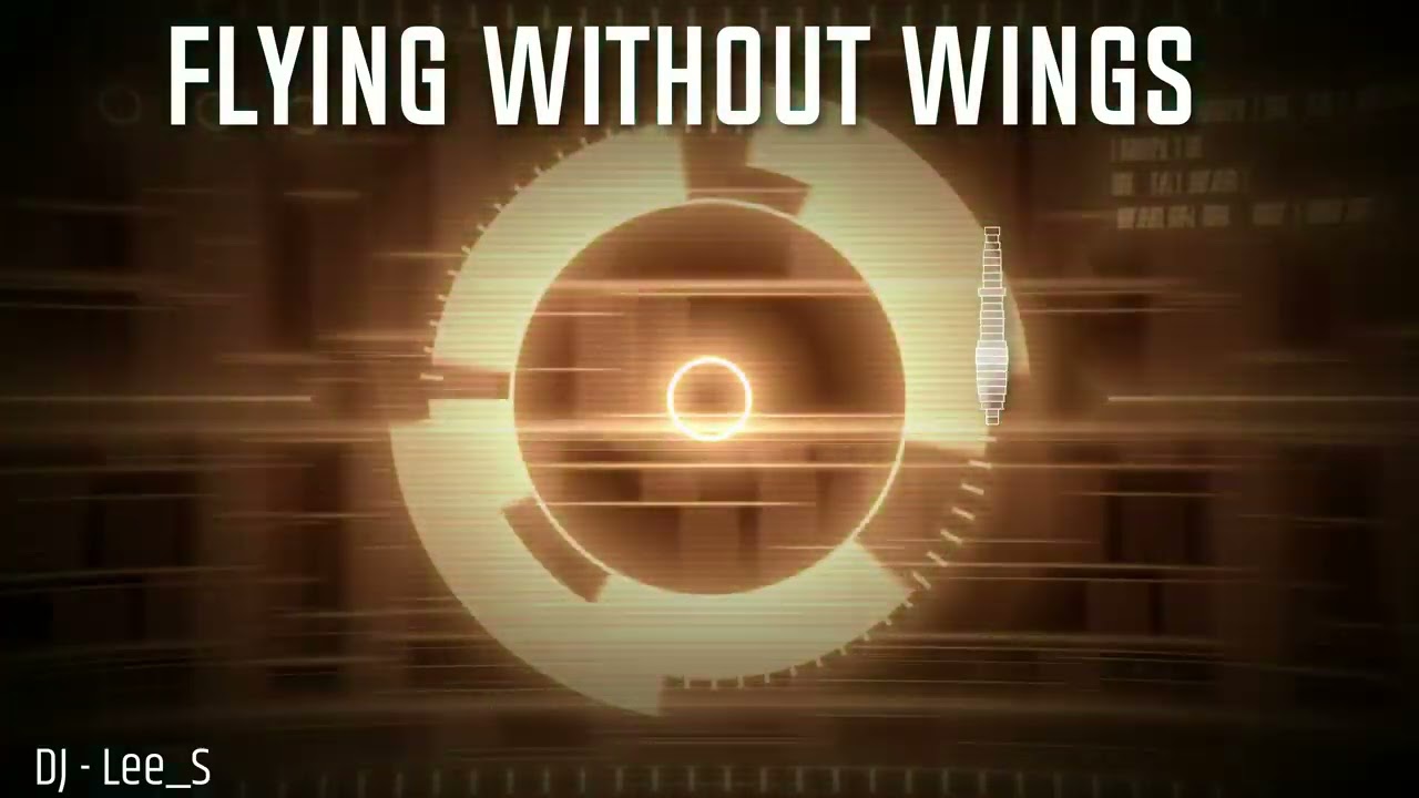 DJ - Lee_S - Flying without wings.