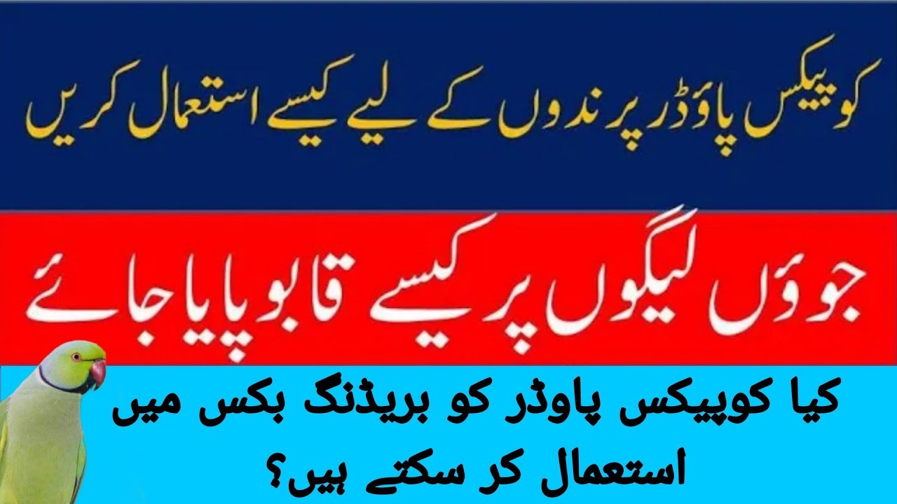 Uses of Coopex Powder | How to use Coopex Powder for birds | How to Protect birds from Mites