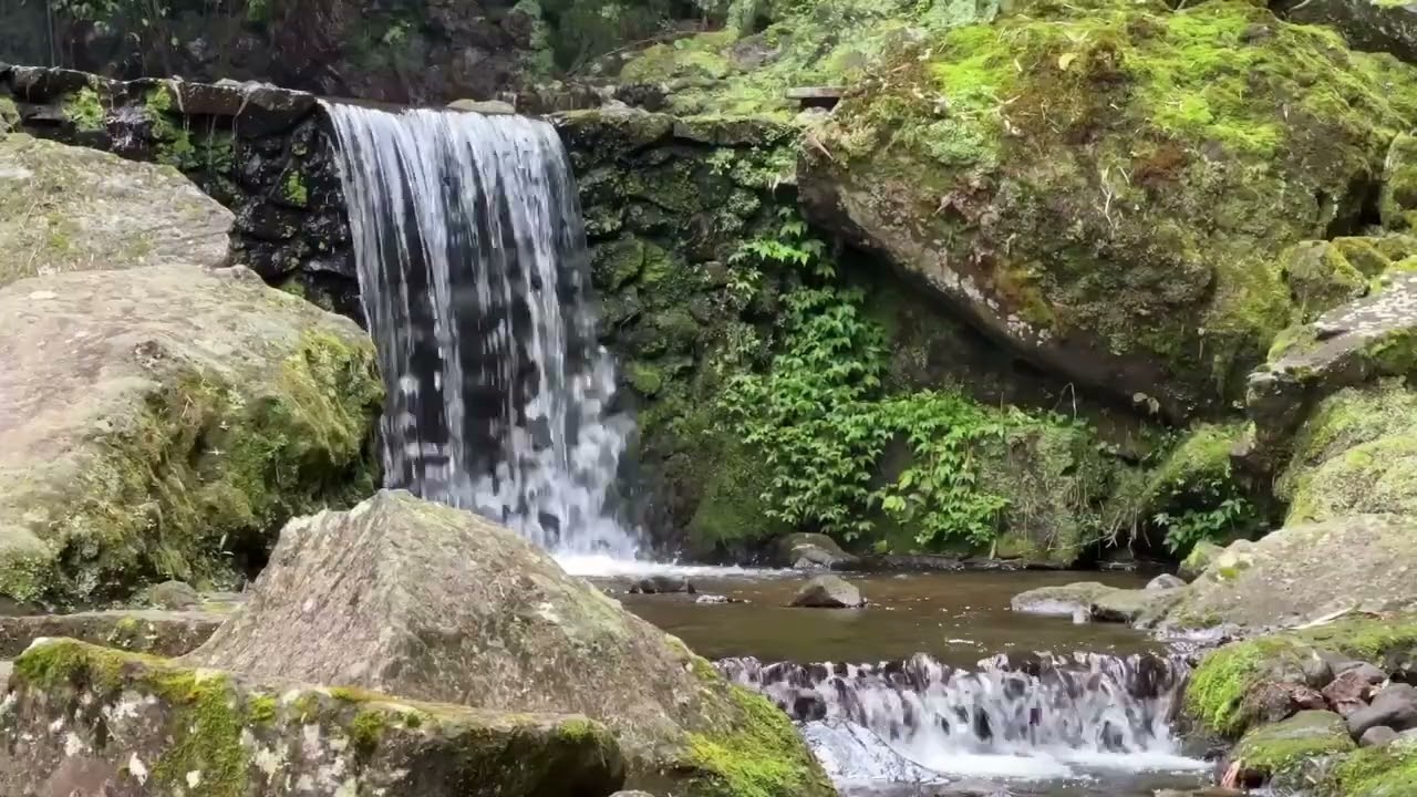 River Sounds for Anxiety Relief Calm