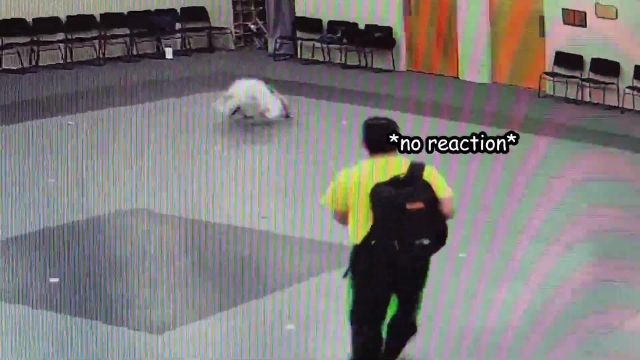 Martial Arts Bloopers | Destolfo's Demo Team 2024