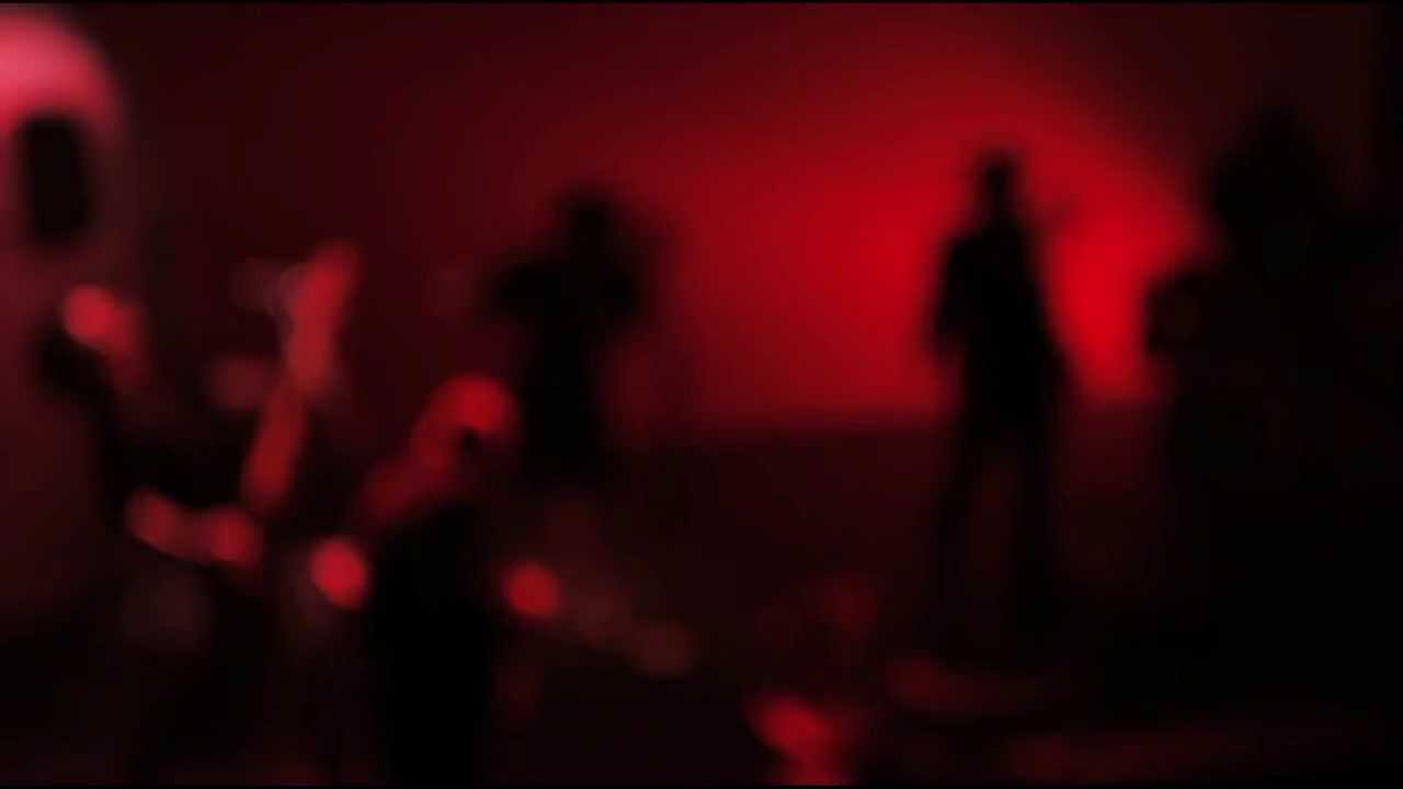 puscifer dozo live