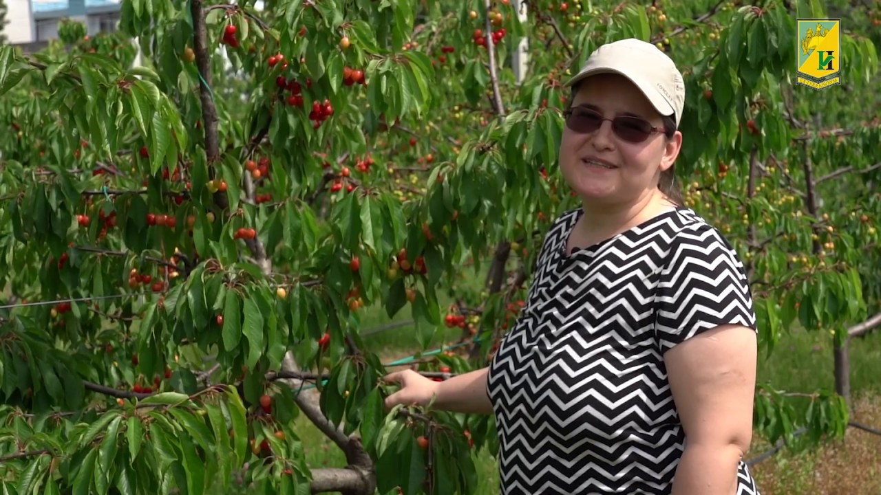 Testimonial absolvent Facultatea de Horticultura din Bucuresti