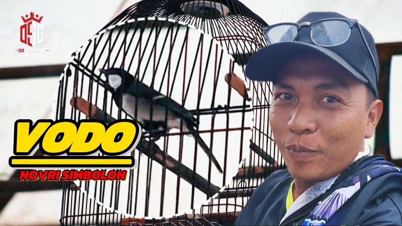 AKSI GELATAIK VODO MILIK MR NOVRI SIMBOLON DI TAPUT RAYA BC KOTA TARUTUNG🔥🔥