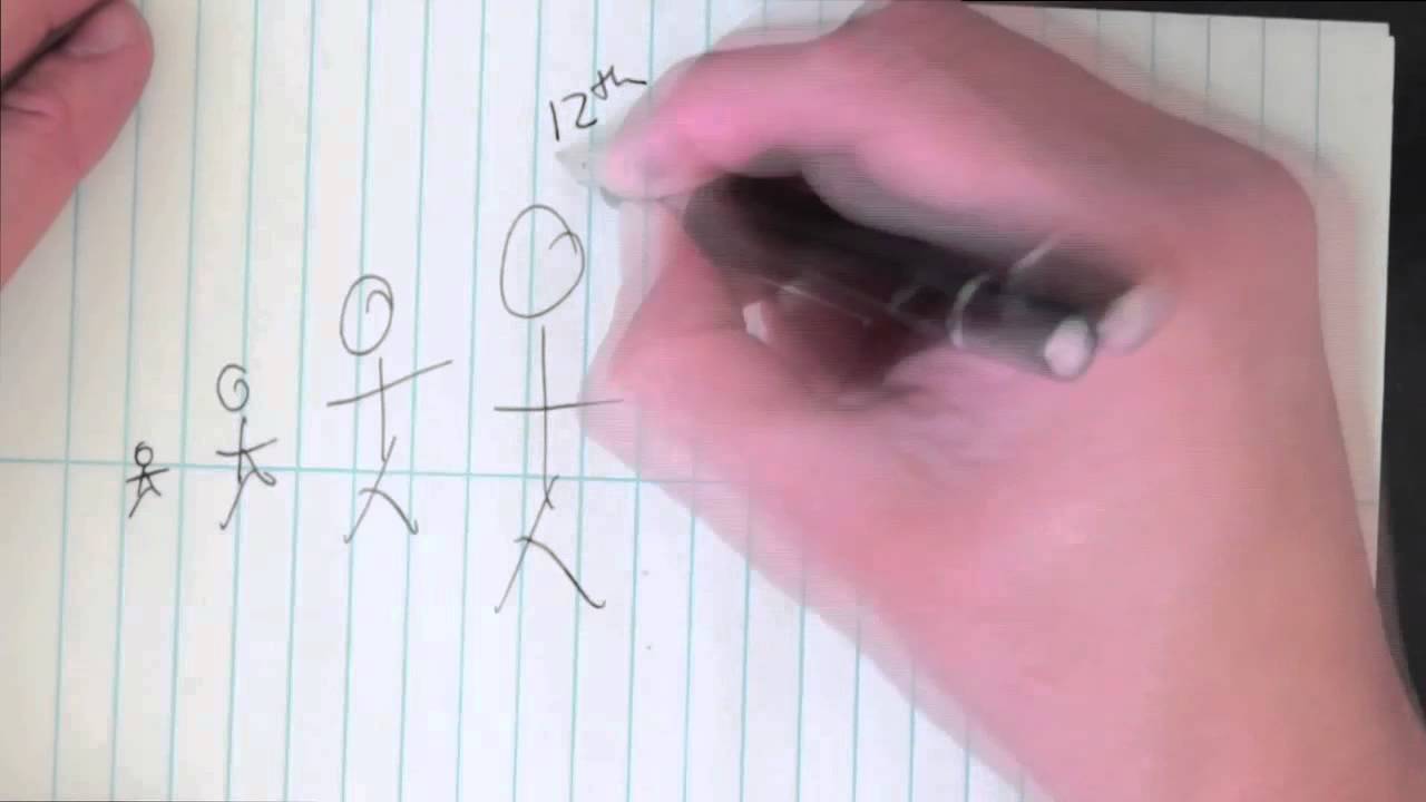 DRAW MY LIFE GRADUALREPORT