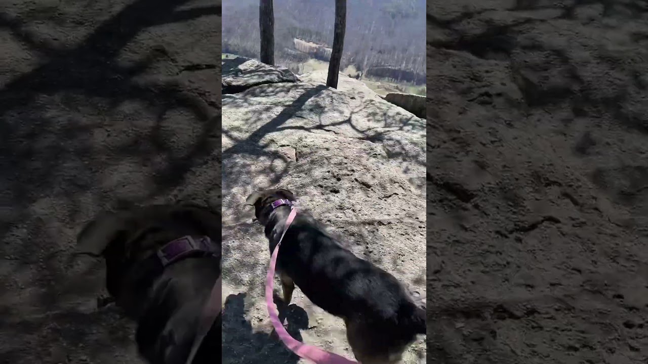 East Pinnacle View - Berea, KY #reichpolotech #reichpolotechsage #bereaky #pinnacle