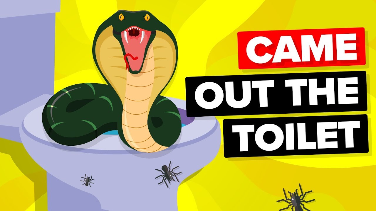 Scariest Things That Can Come Out Of Your Toilet