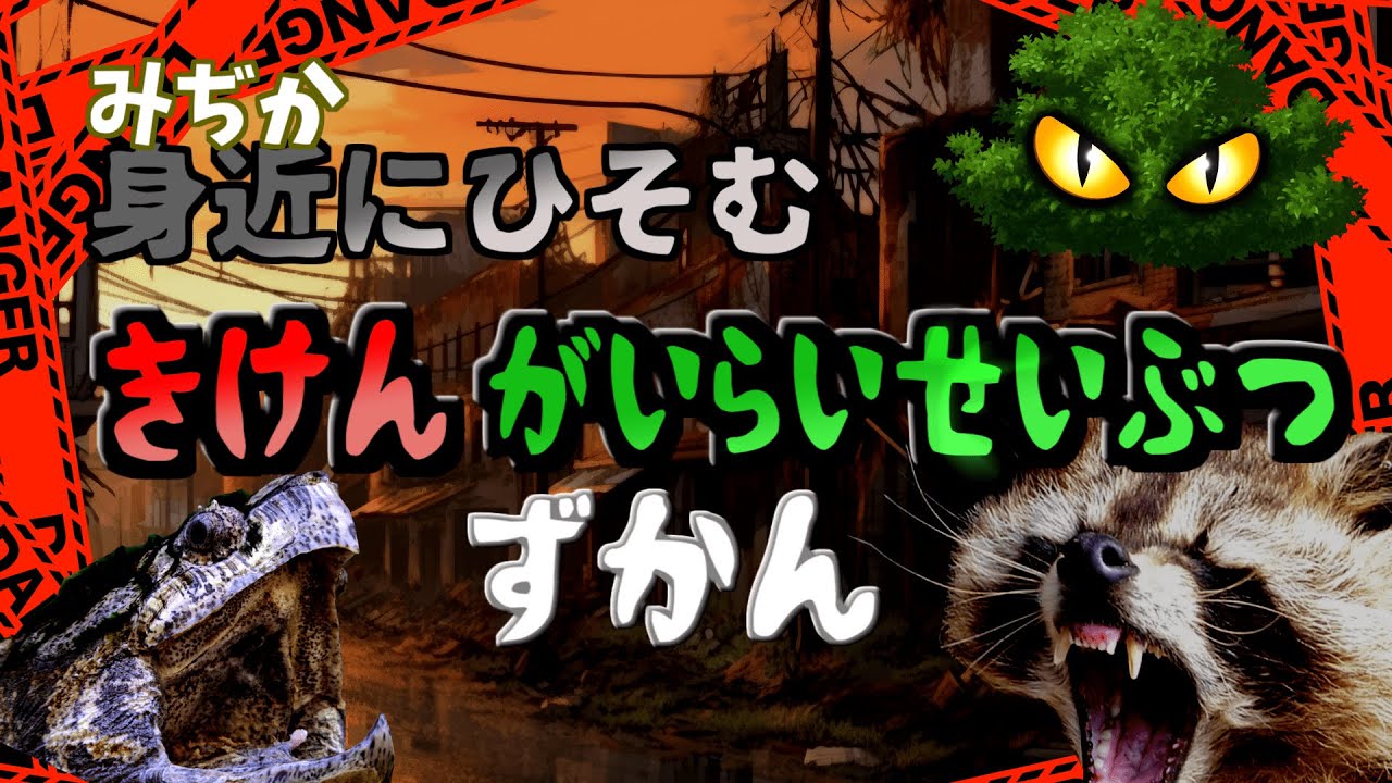 【子供向け】身近に潜む？危険外来生物ずかん　アフリカマイマイ、カミツキガメ、ヒアリ【危険生物】