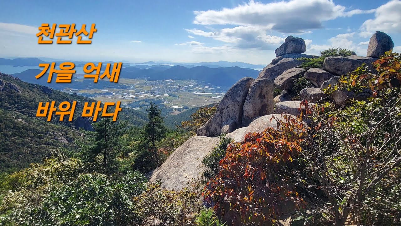 장흥 천관산의 가을, 억새 산행(25.10.22.)/ 멀리 보이는 바다와 물결치는 억새 파도