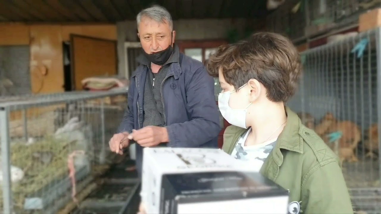 რატომ შეგვეცვალა გეგმები?🤔 ბოცვრები ჩვენს ეზოში🐰🐇