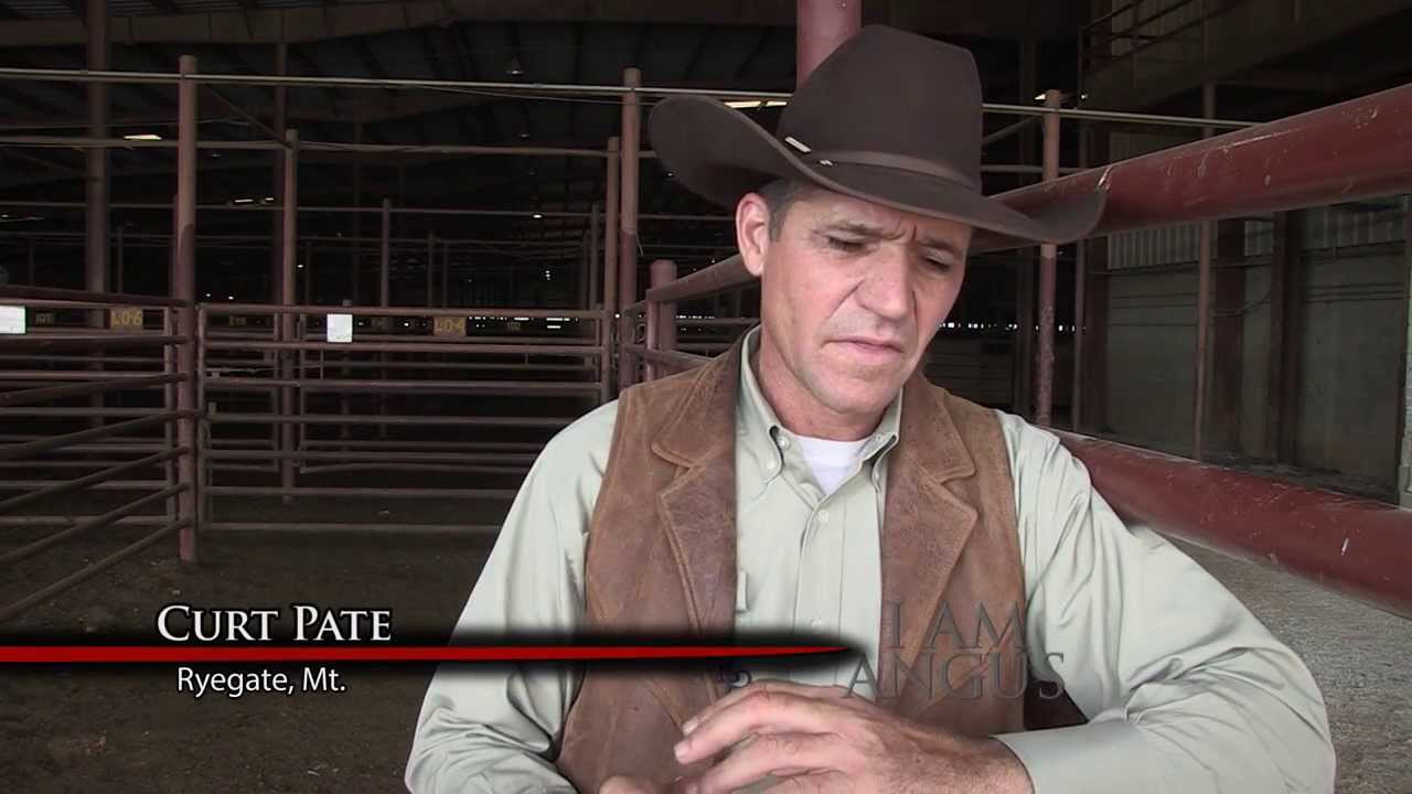 I Am Angus: Curt Pate