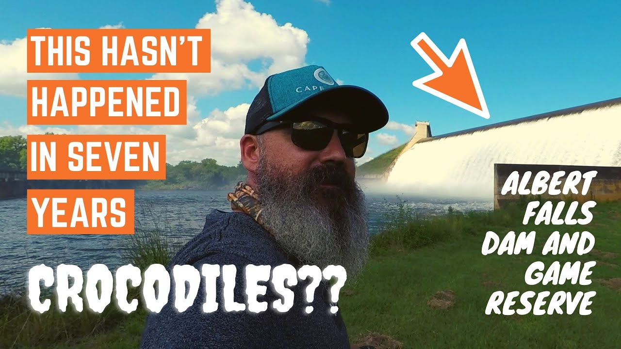 Crocodiles and fishing Albert Falls Dam?