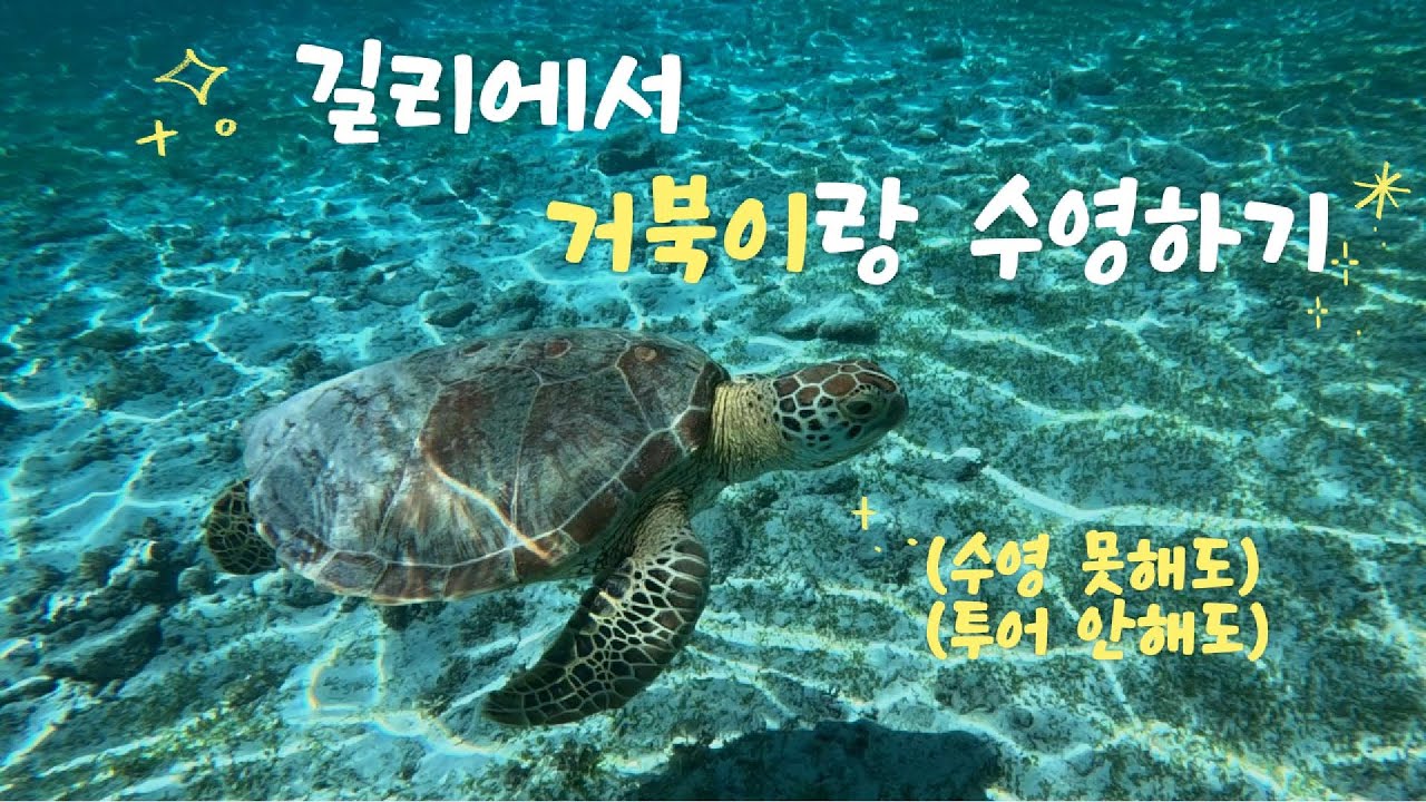 길리 거북이 포인트 스노클링 ㅣ 윤식당 촬영지 빌라펜유 ㅣ 유어런드리 ㅣ 코코 커피 앤 아이스크림 카페 ㅣ펄 선셋 리조트 ㅣ 길리 트라왕안 야시장 ㅣ 프란체스코 피자