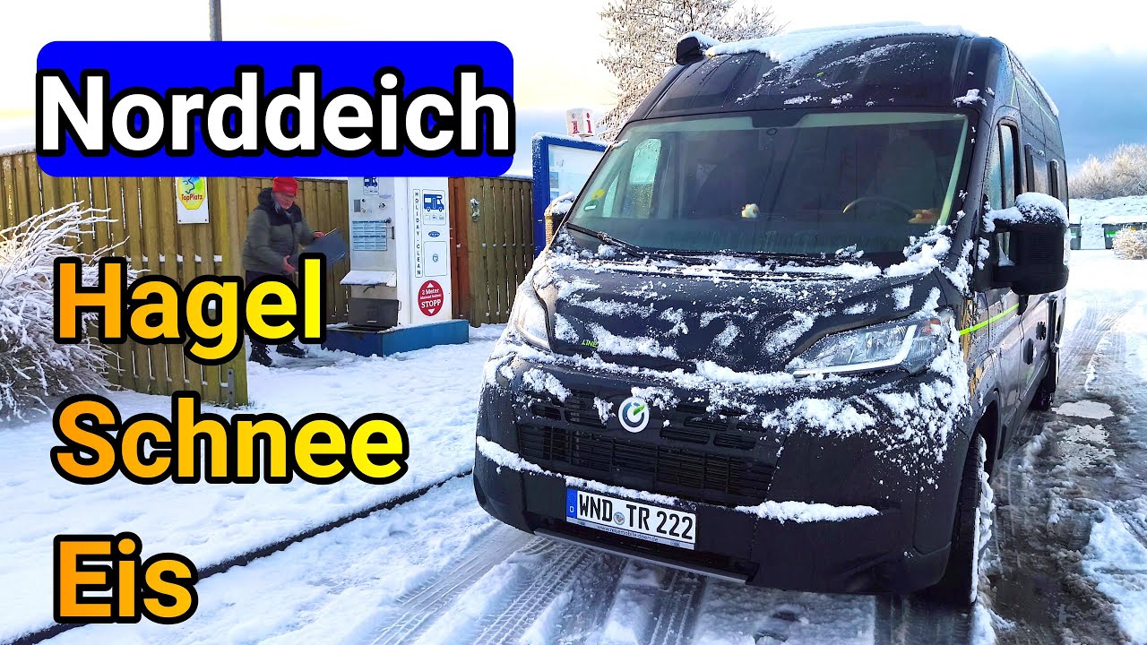 Norddeich Ostfriesland Black Eddy muss leiden ❄️🌨️🥶