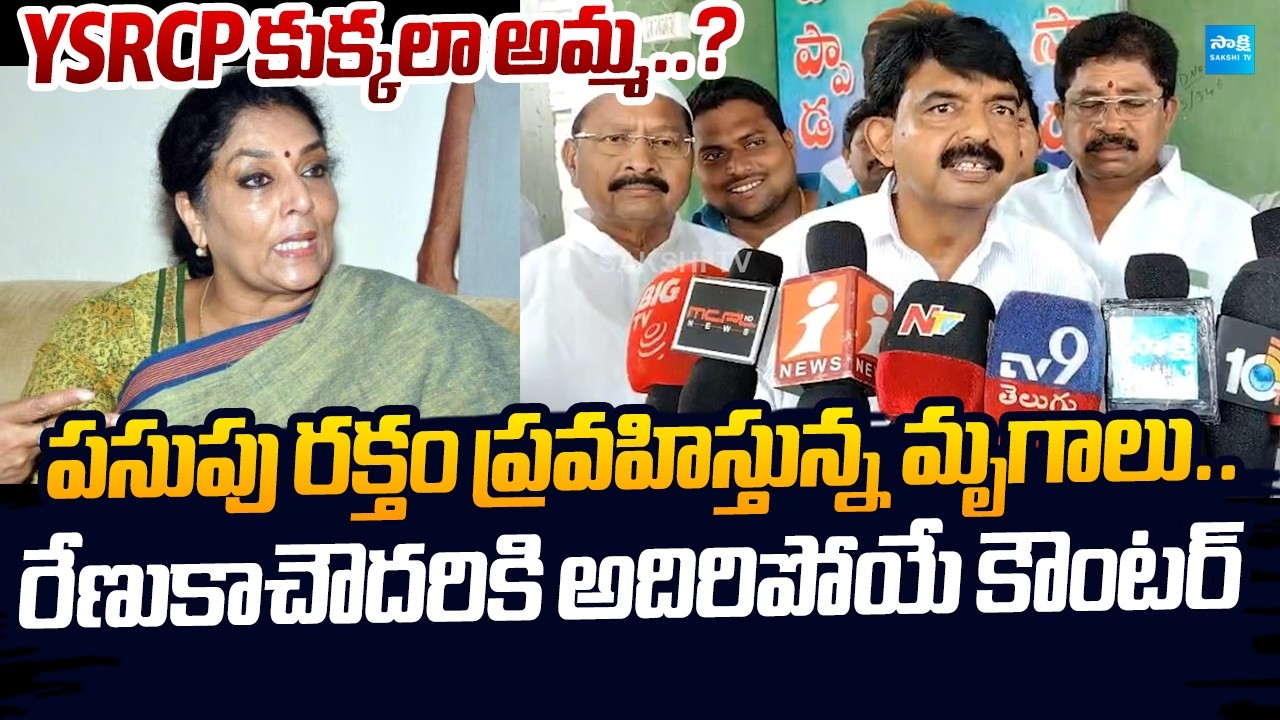 Perni Nani Strong Counter to Renuka Chowdhury Comments On YSRCP |@SakshiTVLIVE