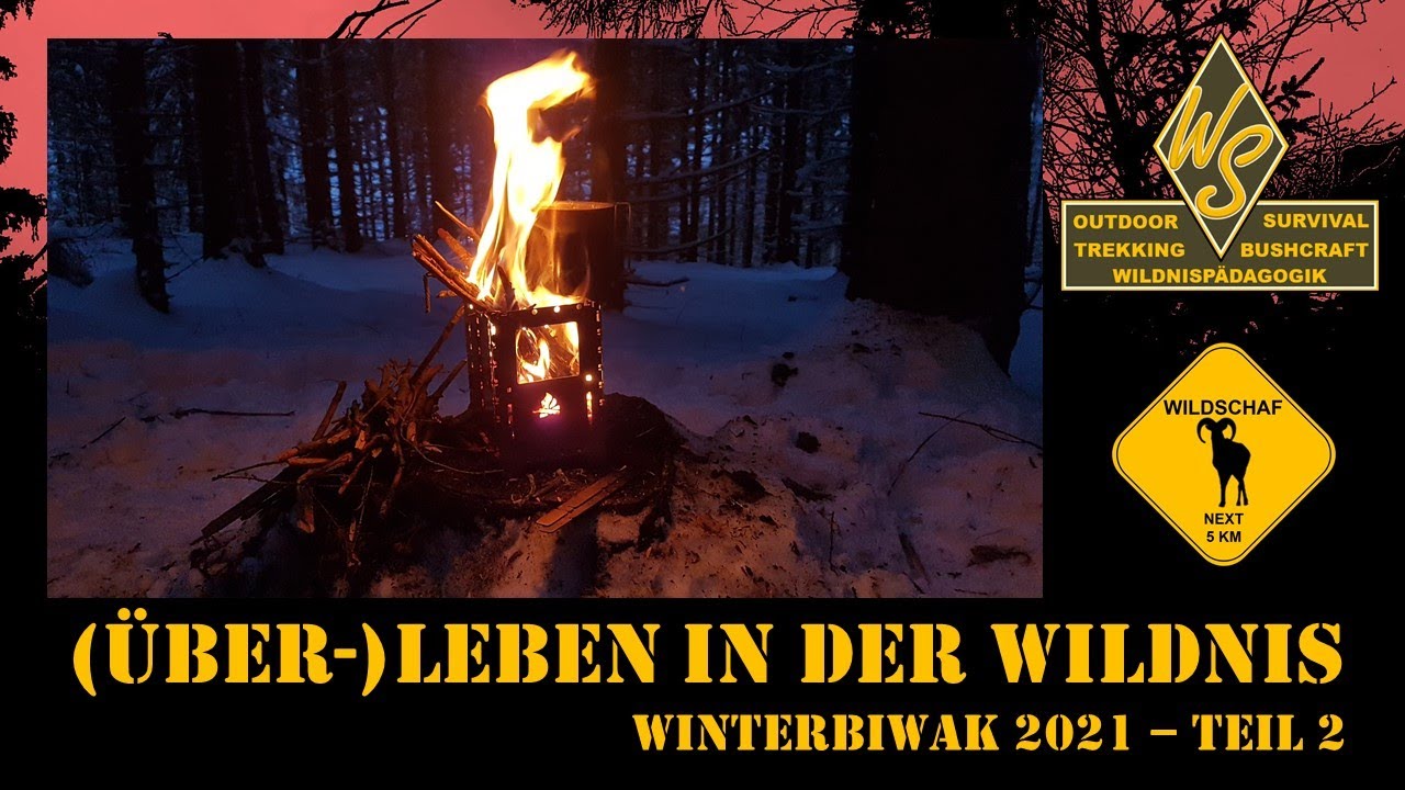 (Über)Leben in der Wildnis | Winterbiwak 2021 | 24 Stunden im Schnee - Teil 2