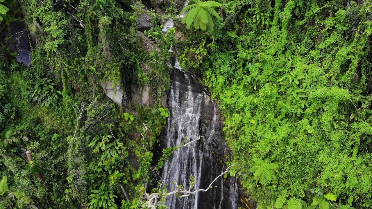 LA COCA WATERFALL, EL YUNQUE, R&Iacute;O GRANDE, PUERTO RICO