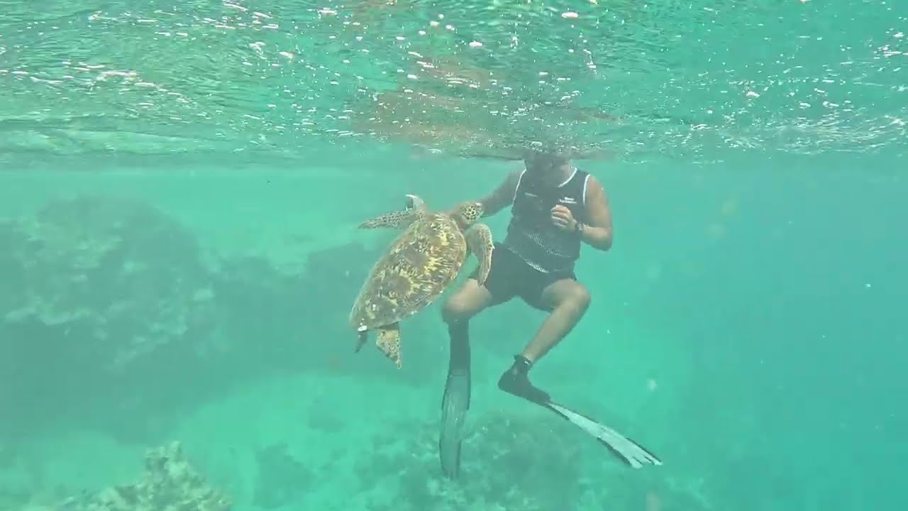 Rarotonga